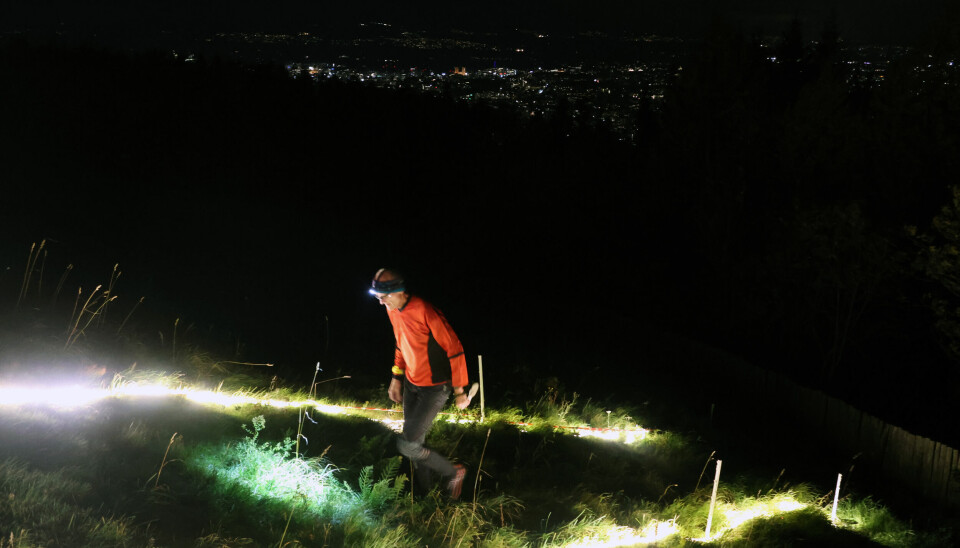 Innspurten med Oslo i bakgrunn (Foto: Bjørn Hauge)