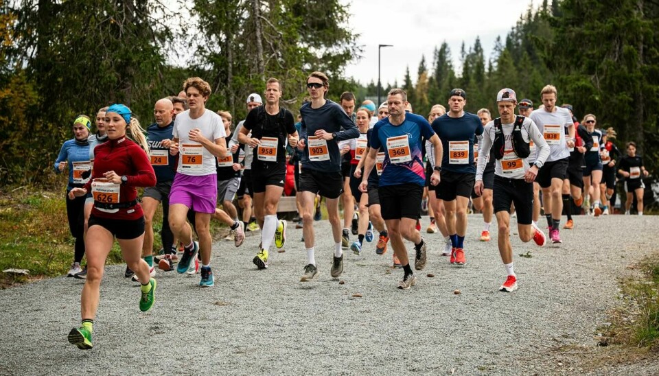Halvmaraton-løpet er i gang. Halvmaraton-løpet er i gang.