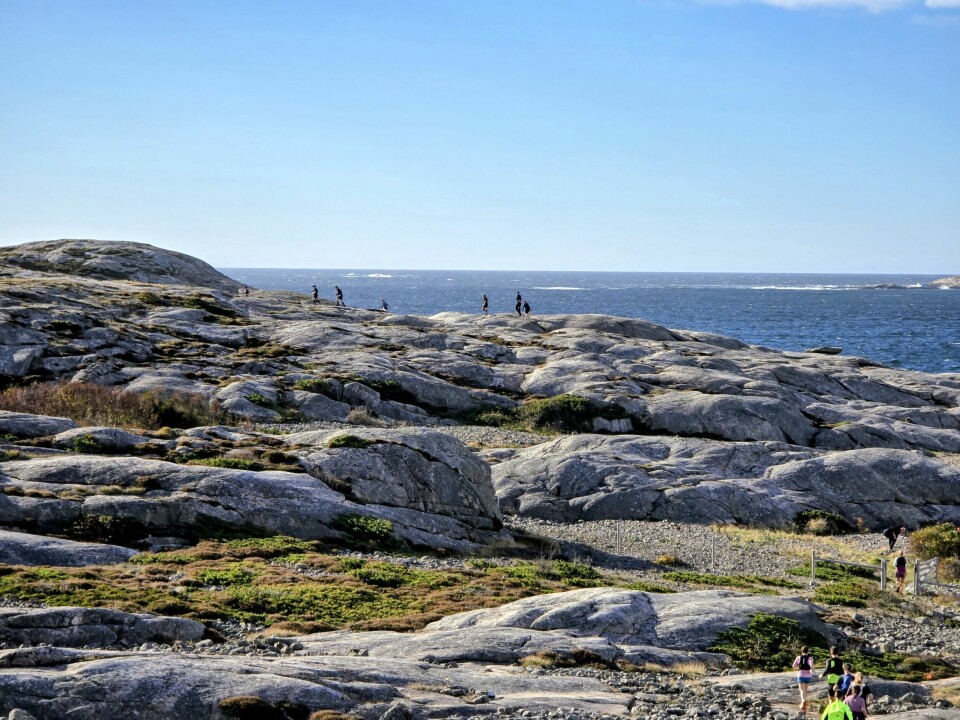 Bohusläns Bästa foregår på svaberg og smale stier langs sjøen. bohusläns bästa terrengløp sverige