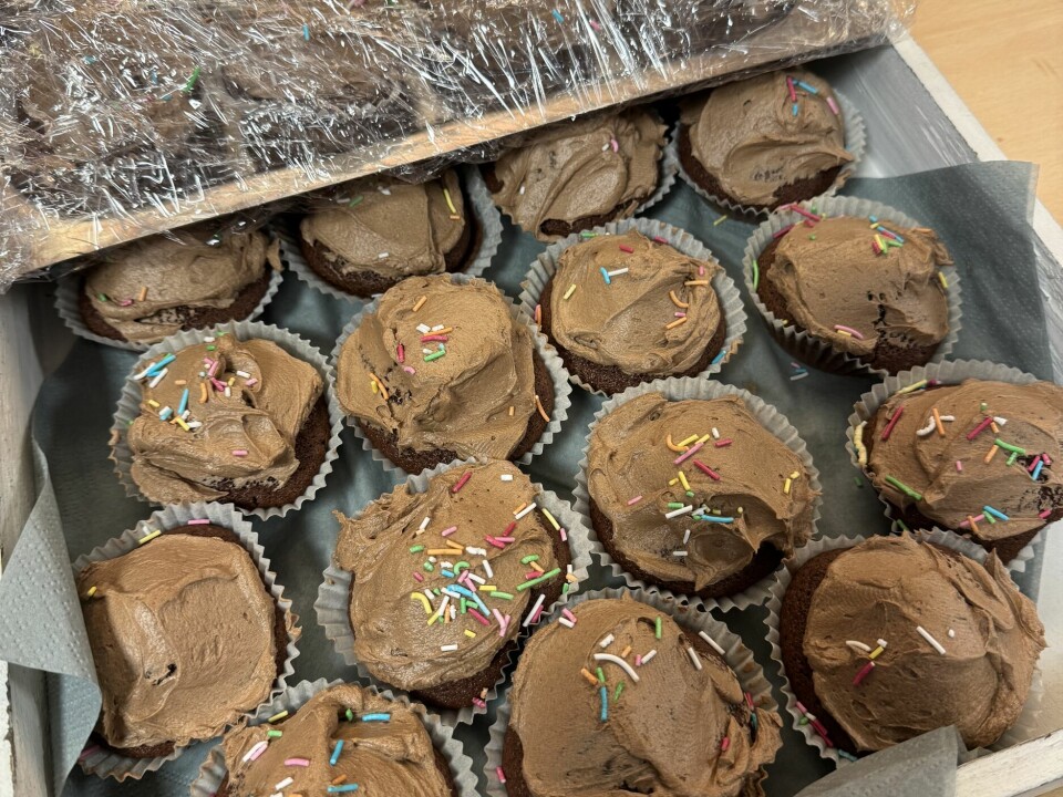 Sjokolademuffins gjør susen i karbohyratlagrene etter Hamarkarusellen. hamarkarusellen vinter prestrudhallen hamar hedmark innlandet