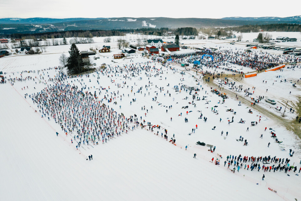 Fra starten for Birkebeinerrennet 2025 på Tingstadjordet birken skibirken birkebeinerrennet hedmark innlandet