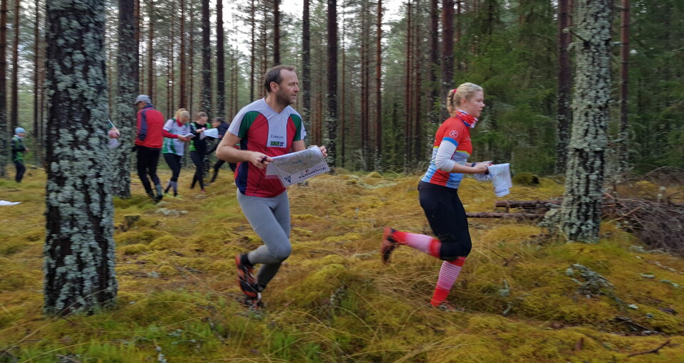 Huldertrampen i velkjente Mosjømarka lørdag