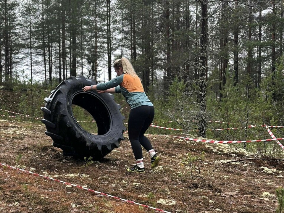 høsthinderløpet forest run elverum