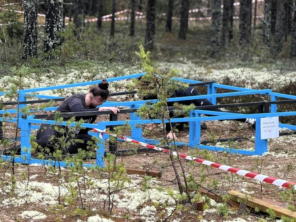 høsthinderløpet forest run elverum