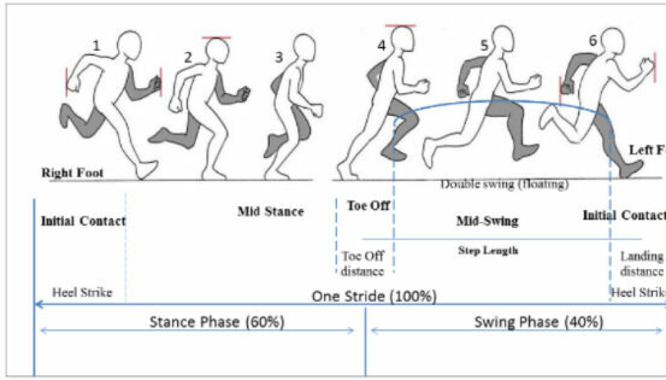 Stegsyklusen: Viser de ulike fasene i steget. Les hele rapporten her Stegsyklusen: Viser de ulike fasene i steget.