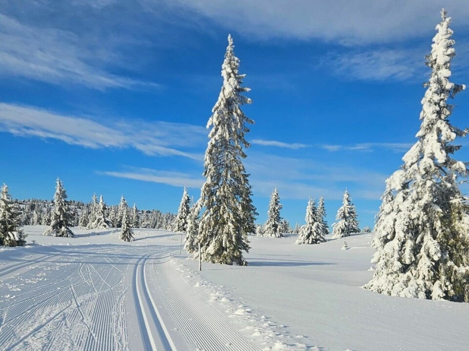 Fra løypa onsdag. (Foto: Arrangøren)
