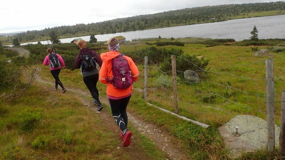 Kondisturer: Kondis arrangerer turer og kurs for sine medlemmer. Her fra en løpesamling på Hafjell i 2020. F.v: Alice Steinkellner, Yngvild Schwung Nilsen og Laila Tjelmeland. F.v: Alice Steinkellner, Yngvild Schwung Nilsen og Laila Tjelmeland på løpesamling for Kondis på Ilsetra august 2020