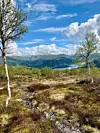 Trail Running under Ekstremsportveko på Voss.