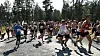 De siste årene har deltakelsen ligget rundt 200 fordelt på trim og konkurranseklassen, 5 og 10 km. Her fra starten av fjorårets løp.