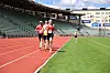 Michael Pilegaard Hansen (20), Anders Grahn (484), Lars Brix (9)