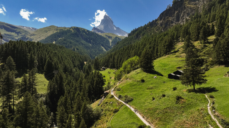 Matterhorn reiser seg majestetisk over grønne daler og skogkledde skråninger, og inviterer friluftsentusiaster til å vandre langs svingete stier.