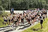 Fra starten på 10 km i Bjørsjølia i 2023.