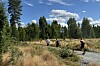Tre maratonløpere legger ut på den siste runden i skogsløypa fra Sæter lørdag.