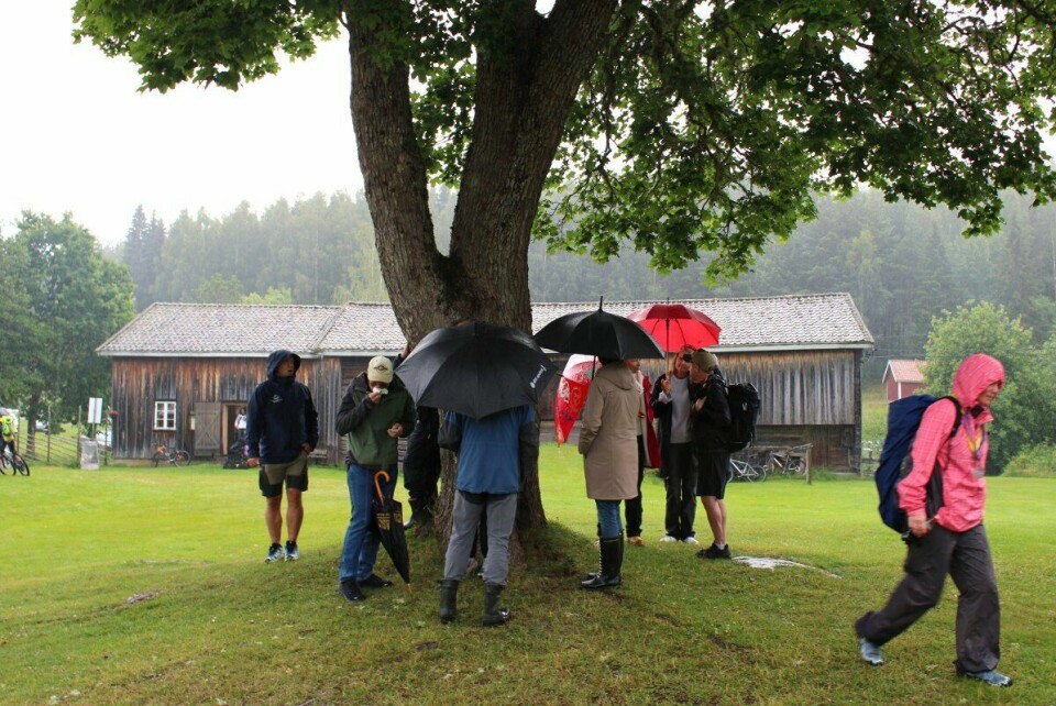 Regnbygene tvang publikum innunder trærne innimellom. Foto:Johannes Hellstrand Frøshaug / Indre Akershus Blad)