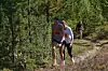 Løypa fra Lalm til Hylja Lodge byr på varierte skogsstier, bratte bakker og flotte utsiktspunkter. Med 600 høydemeter på fem kilometer er det nok av utfordringer underveis.