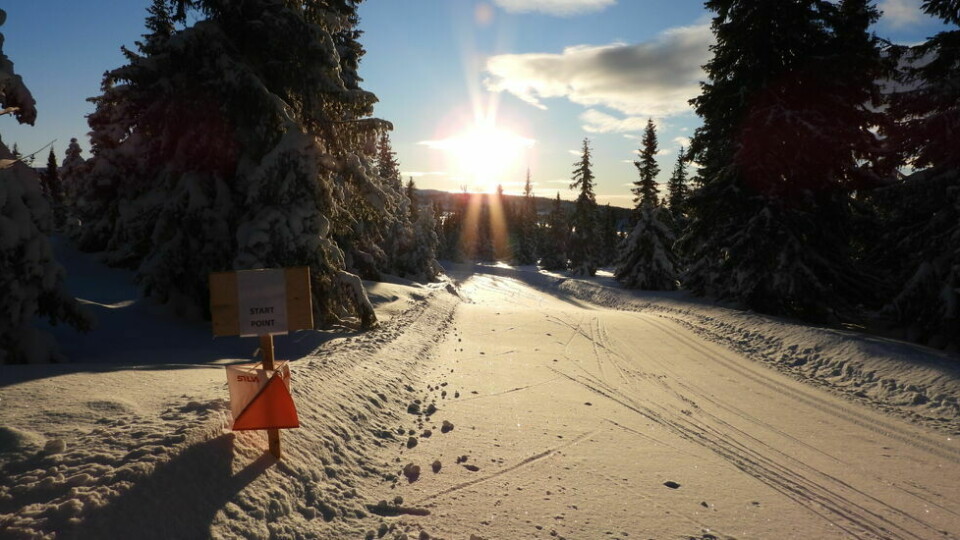 134 bilder fra verdenscupen i ski-o på Sjusjøen fredag DSCN9092