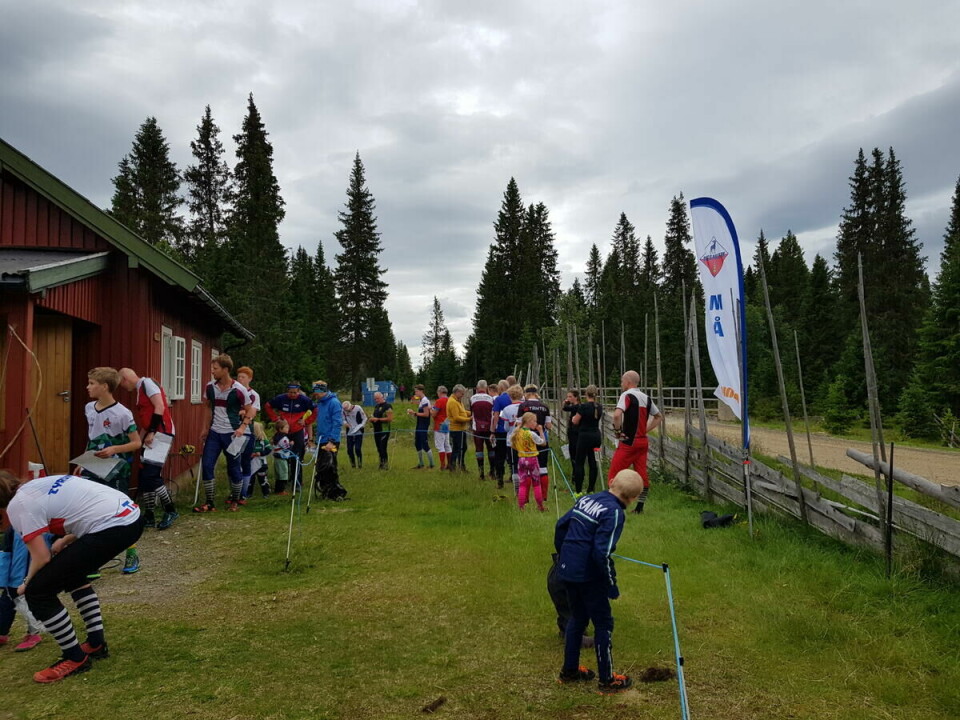 Gammelskolla