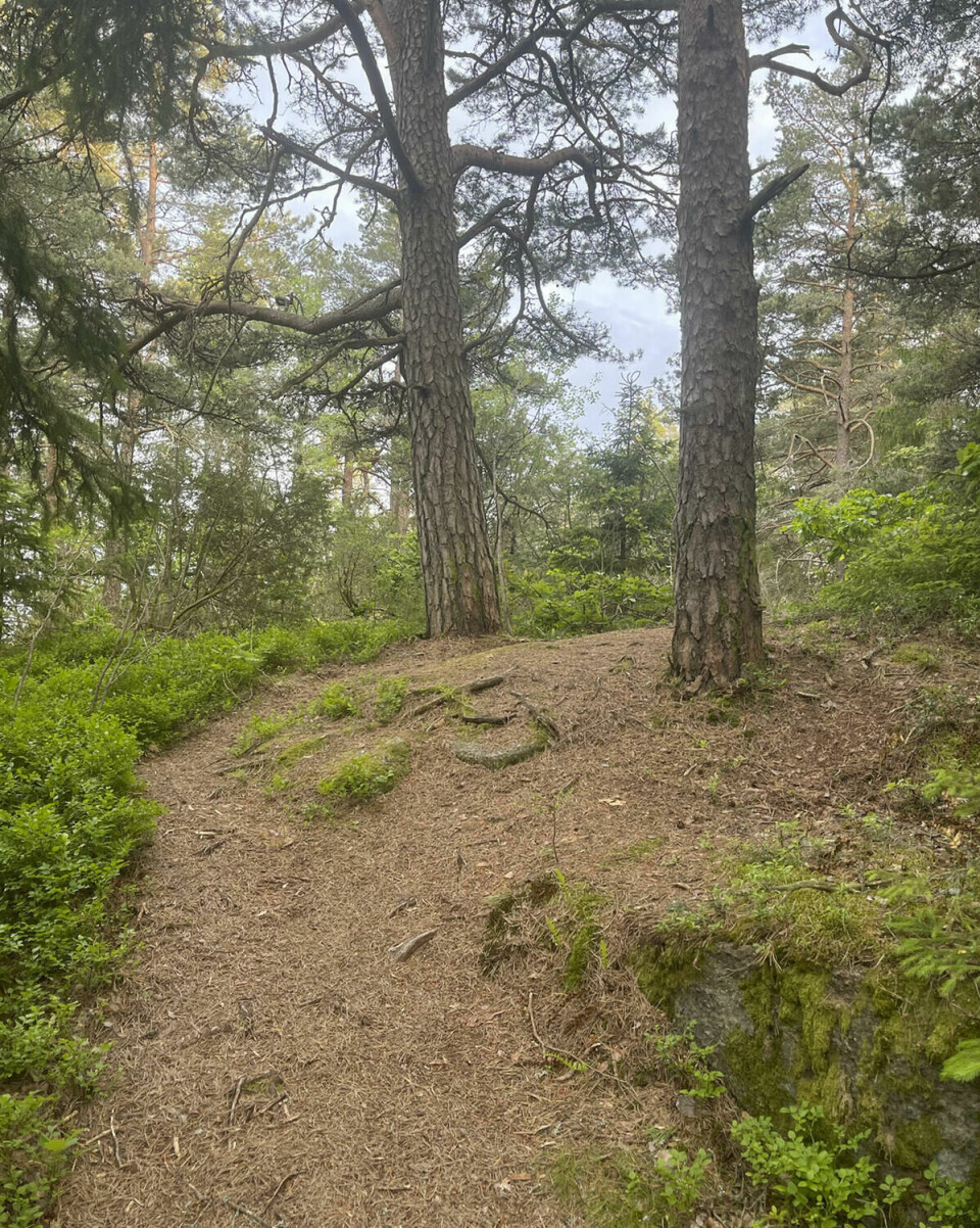 image7