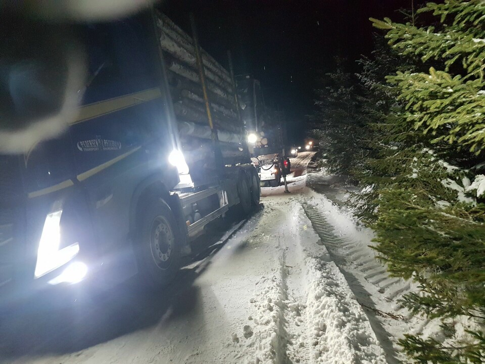 Ti på tid og 82 totalt på juleløpet i Snøkuten