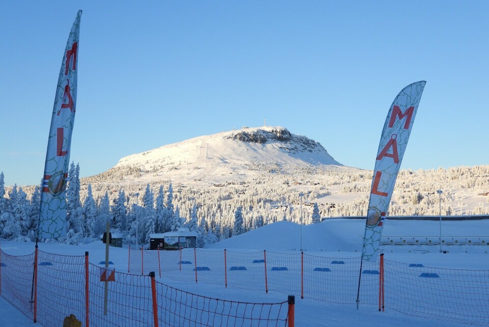 Kaldt Hovedløp i lav sol på Ski-o treff på Skei