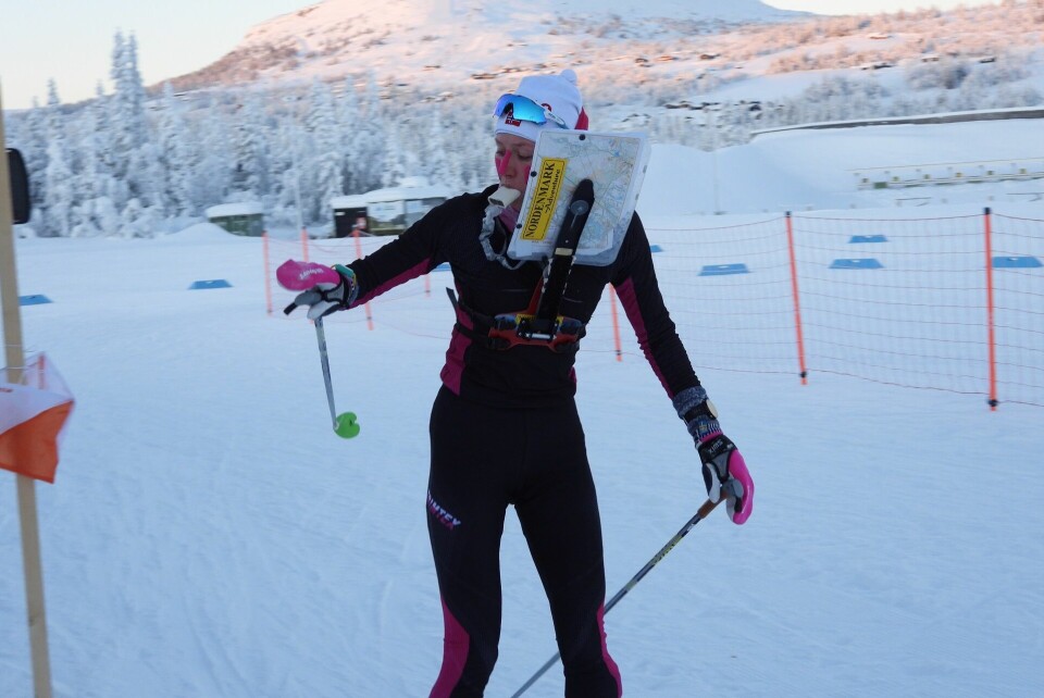 Kaldt Hovedløp i lav sol på Ski-o treff på Skei