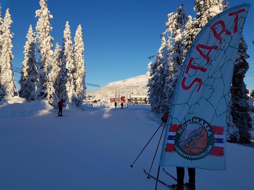 Kaldt Hovedløp i lav sol på Ski-o treff på Skei
