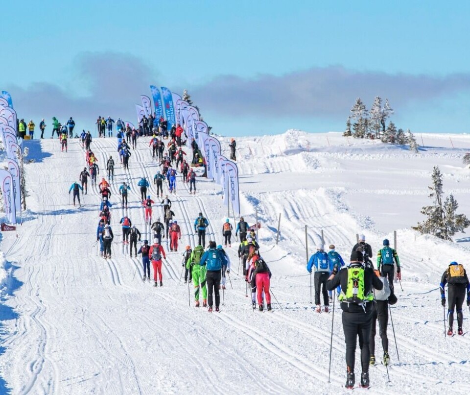 Fra Raudfjellet under Solskinns-søndags-Birken i 2024. (Foto: Birken)