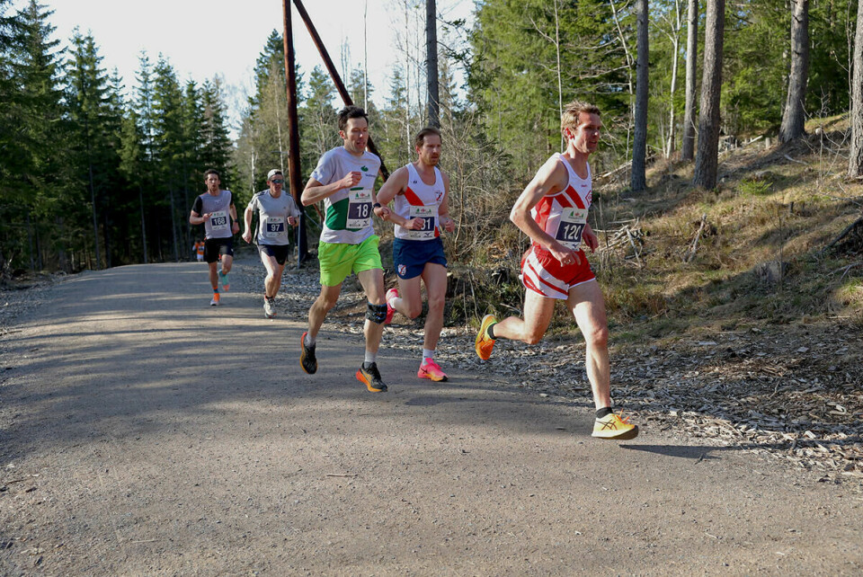 nordmarks12ern-2023-7
