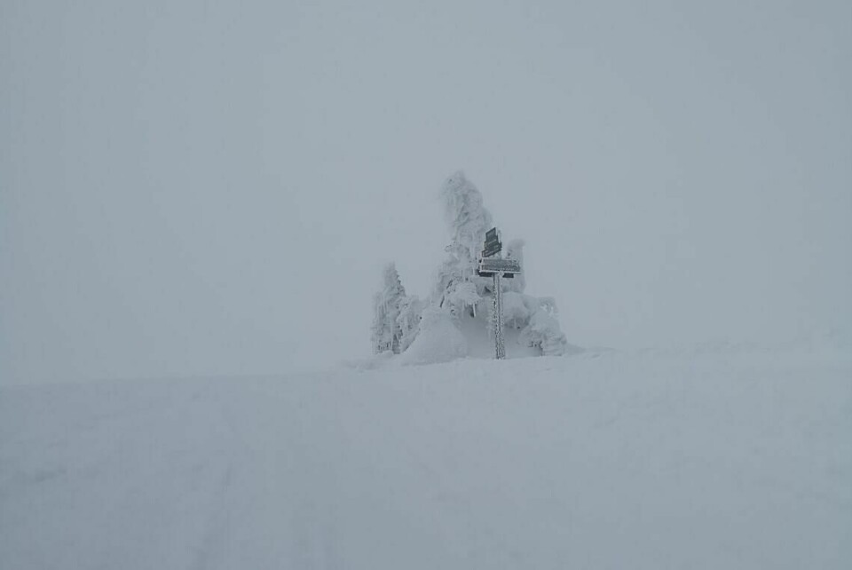 Alle reportasjer og tall fra SkiBirken 2024 Det var helhvitt men helt stille da Kondis inspiserte forholdene på Raudfjellet mandag. På lørdag er det meldt både snø og kraftig vind. (Foto: Rolf Bakken)