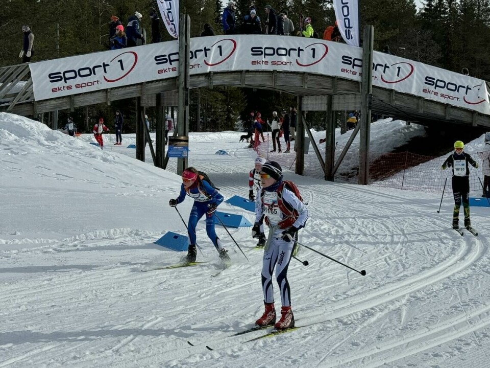 Alle reportasjer og tall fra SkiBirken 2024 Noen av de yngste løperne i UngdomsBirken på vei under skibrua og inn på stadion 1 km før målgangen på Birkebeineren skistadion. (Foto: Finn Olsen)