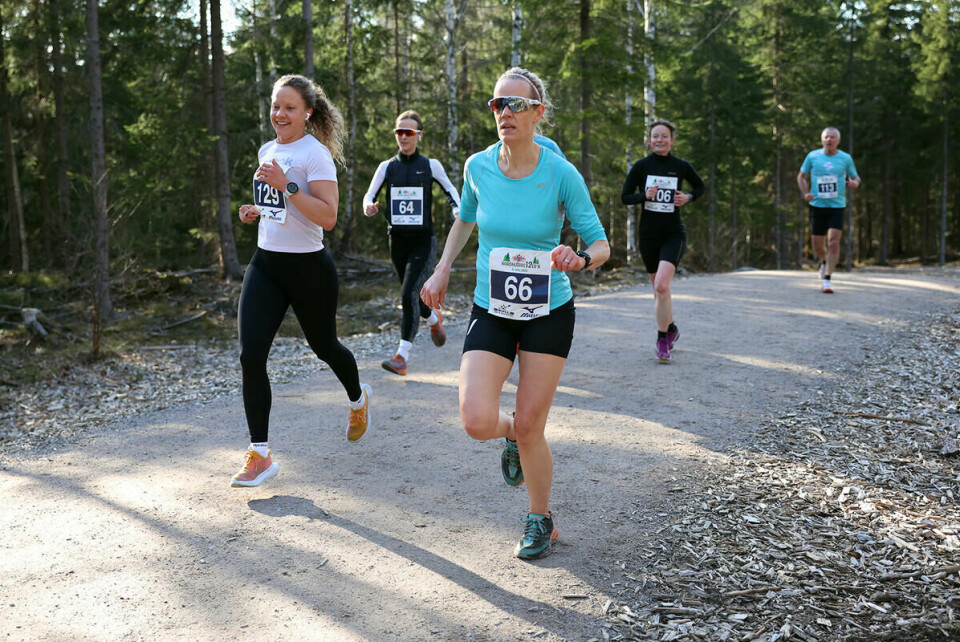 nordmarks12ern-2023-48