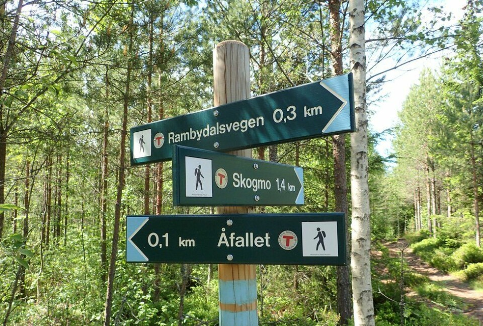 Marianne Røhmes beste langtur i Ullensaker fra Skogmo, via Åfallet til Åsmarka