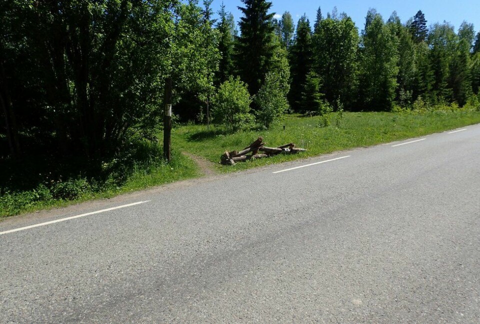 Marianne Røhmes beste langtur i Ullensaker fra Skogmo, via Åfallet til Åsmarka