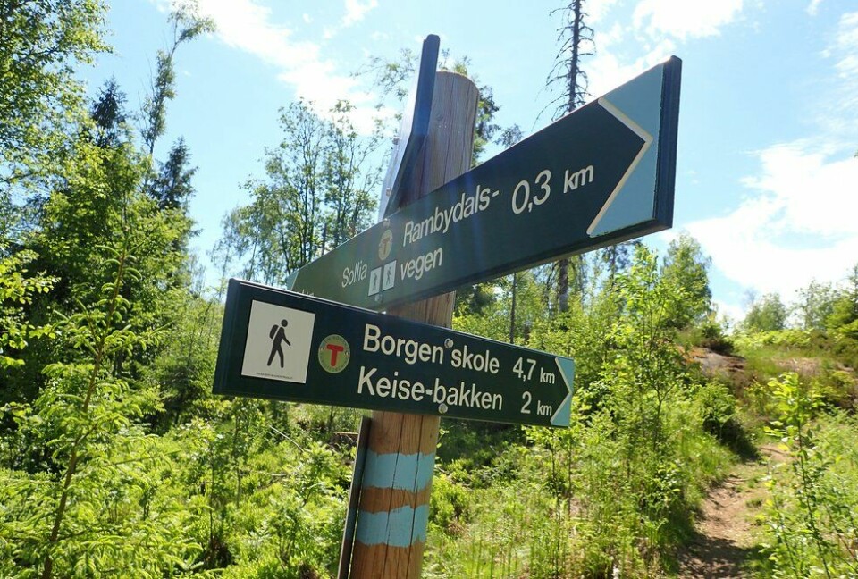 Marianne Røhmes beste langtur i Ullensaker fra Skogmo, via Åfallet til Åsmarka