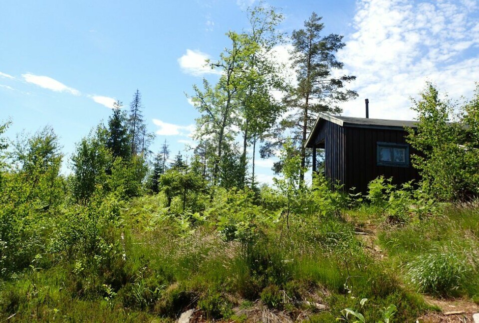 Marianne Røhmes beste langtur i Ullensaker fra Skogmo, via Åfallet til Åsmarka