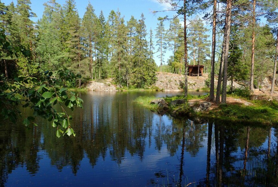 Marianne Røhmes beste langtur i Ullensaker fra Skogmo, via Åfallet til Åsmarka