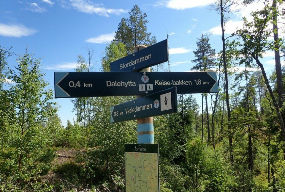 Marianne Røhmes beste langtur i Ullensaker fra Skogmo, via Åfallet til Åsmarka