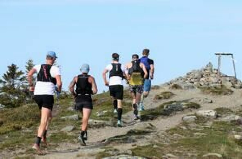 LøpeBirken med en samlet økning på 50 % fra i fjor Ultrabirkebeinere på vei over Sjusjøfjellet i flott sommervær i 2023. (Foto: Rolf Bakken)