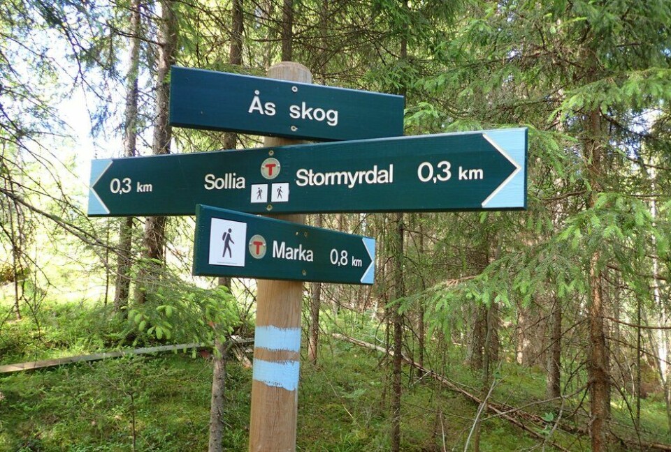 Marianne Røhmes beste langtur i Ullensaker fra Skogmo, via Åfallet til Åsmarka