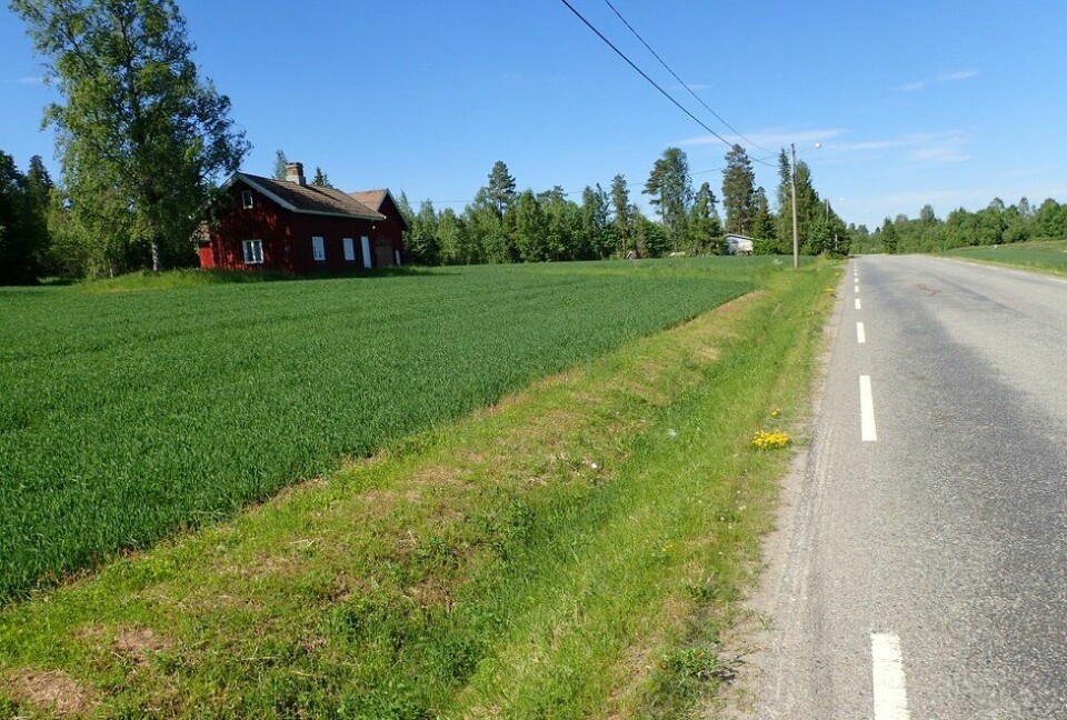 Marianne Røhmes beste langtur i Ullensaker fra Skogmo, via Åfallet til Åsmarka