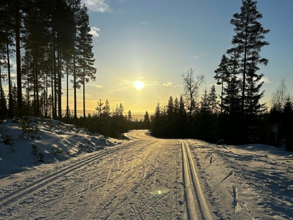Svartholtet var badet i sol i store deler av den første konkurranseuka i Tour de Ski. (Foot: Amund Sigstad)