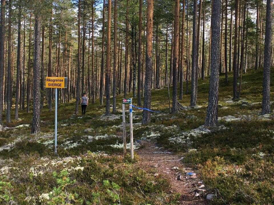Den trivelige Grensetrimmen fyller 40 år på lørdag