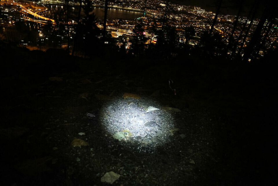 1U9A4111_foto_Arne Dag Myking