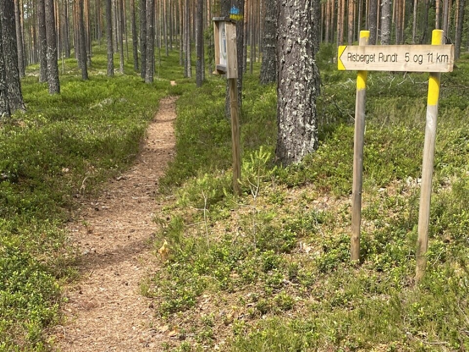 Risberget Rundt for 43. gang på lørdag