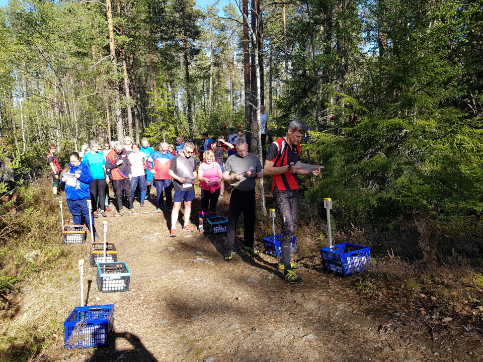 Bedrifts o-løp i Mosjømarka i Løten