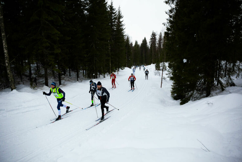 foto_Snorre_Veggan_holmenkollmarsjen-0498