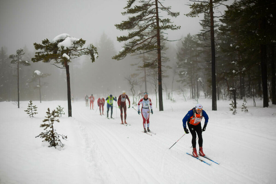 foto_Snorre_Veggan_holmenkollmarsjen-0281