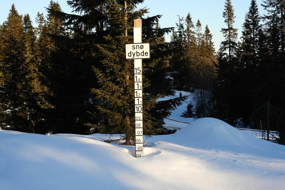 Snødybde ved Grua like ved Budor Gjestegård pr. 04.01.25. (Foto: Stein Arne Negård)
