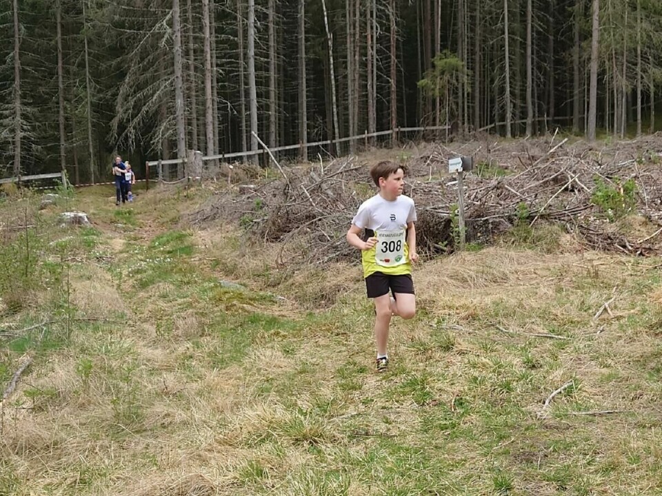 Kvennstugul¢pet (1)