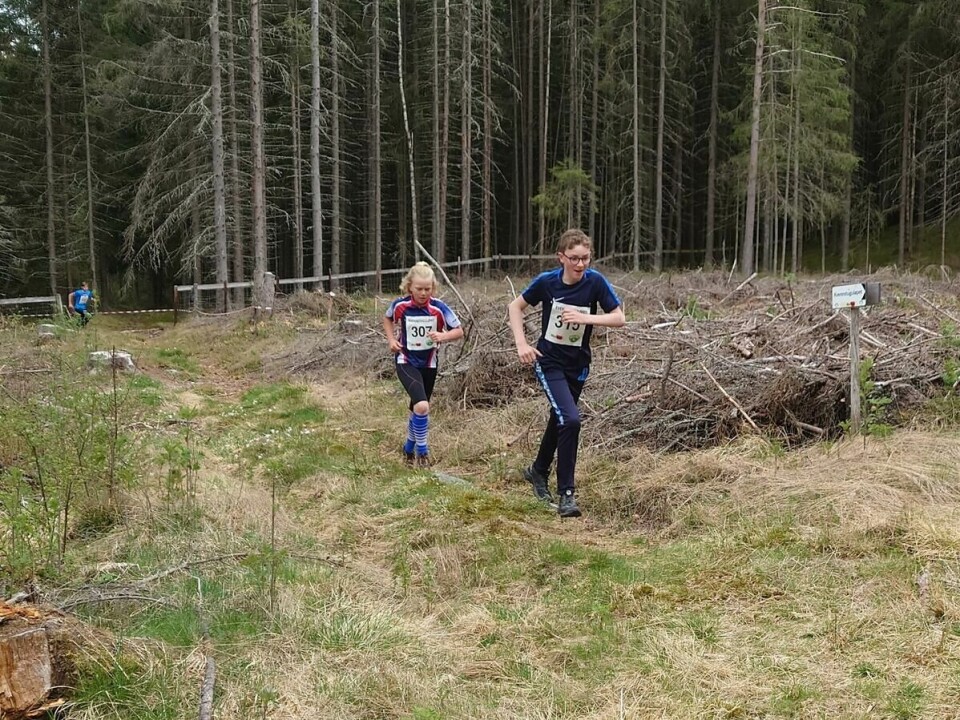 Kvennstugul¢pet (2)